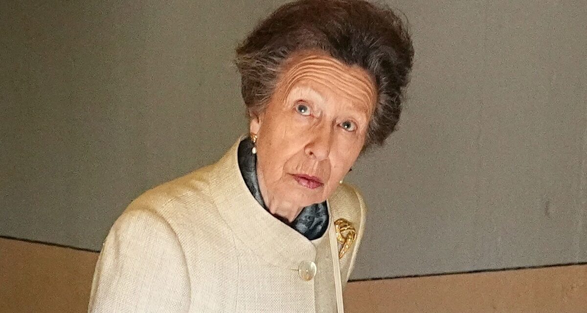 Le deuxième salon «écrasant» de la princesse Anne est si relatable