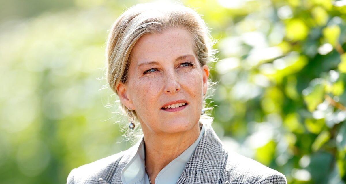 La duchesse Sophie partage enfin pourquoi elle n&rsquo;a pas assisté aux funérailles de la princesse Diana