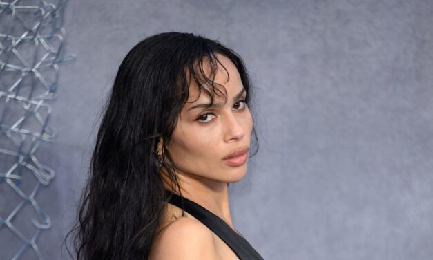 Zoe Kravitz a l&rsquo;air sensationnel dans le LBD plongeant inspiré des années 90