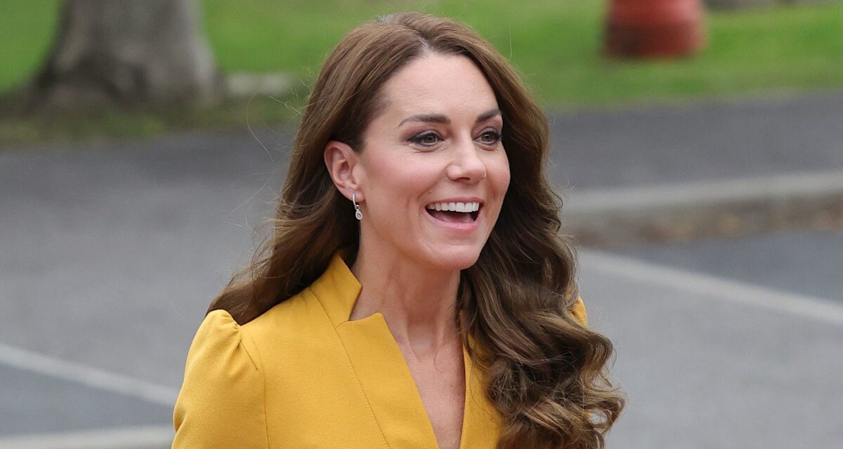 Kate Middleton a la meilleure réaction à être interrompue par tous les baby – regarder la vidéo