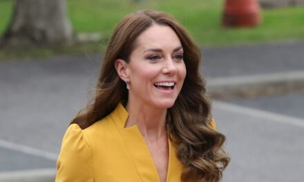 Kate Middleton a la meilleure réaction à être interrompue par tous les baby – regarder la vidéo