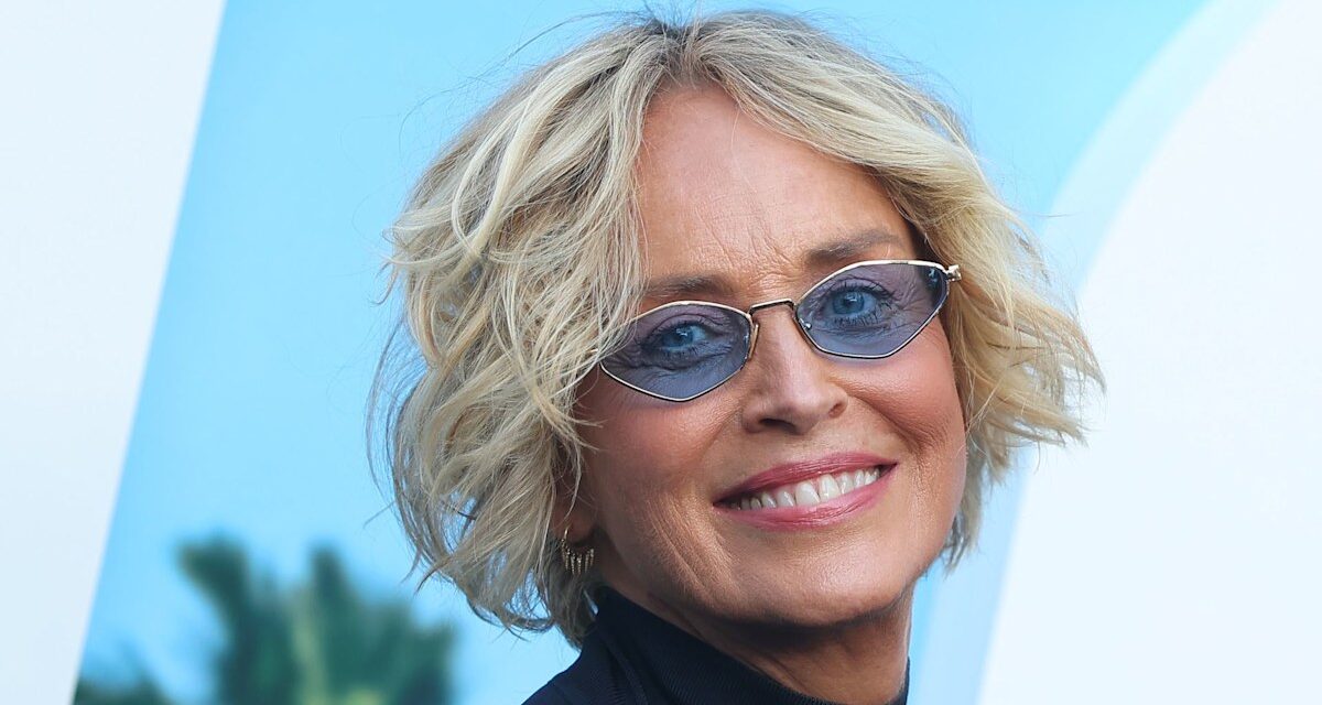 Les beaux fils de Sharon Stone font leurs débuts sur le tapis rouge des semaines après le chagrin de famille