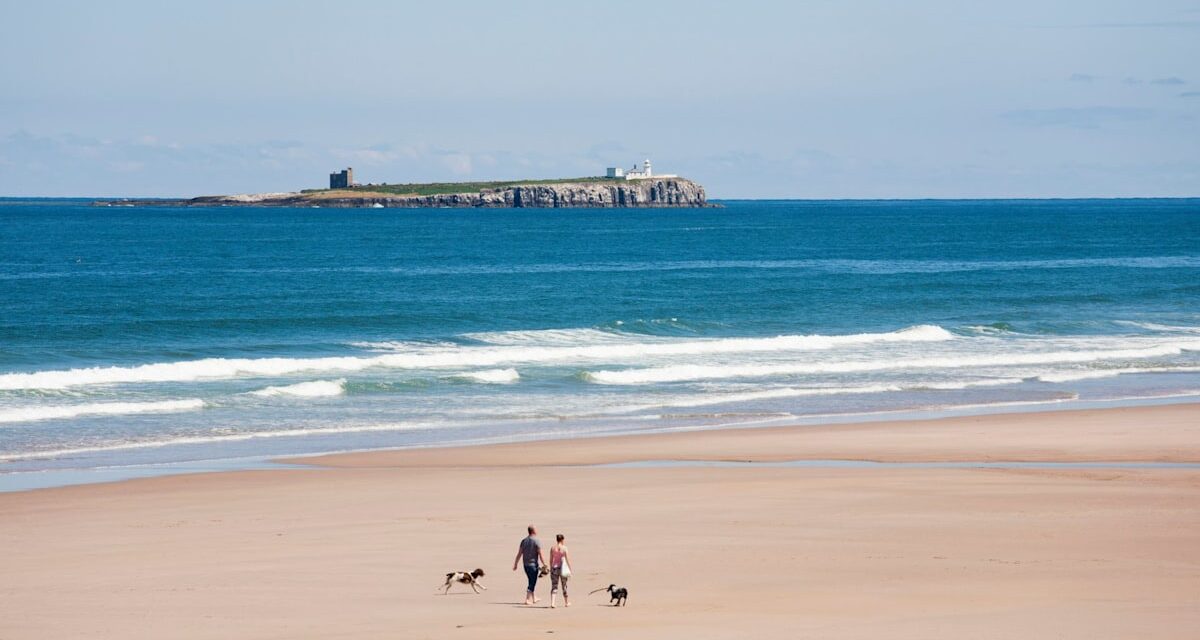 Ce havre de chiens «  sous-estimé  » vient de dépasser Cornwall et Lake District comme la meilleure évasion des chiens du Royaume-Uni