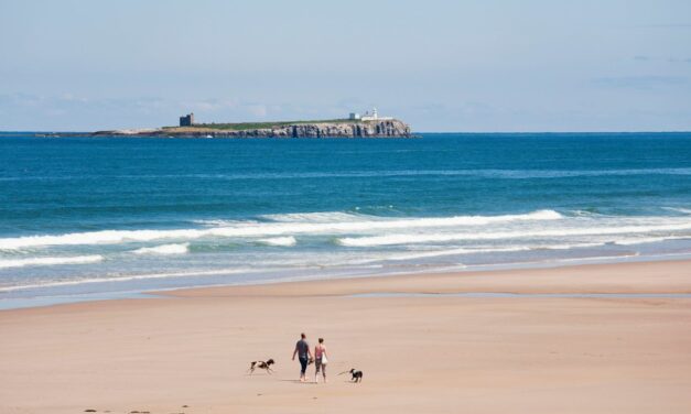 Ce havre de chiens «  sous-estimé  » vient de dépasser Cornwall et Lake District comme la meilleure évasion des chiens du Royaume-Uni