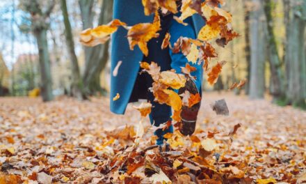 Meilleures promenades d&rsquo;automne pour les couleurs saisonnières: des porcs de New Forest aux lacs de Cumbria
