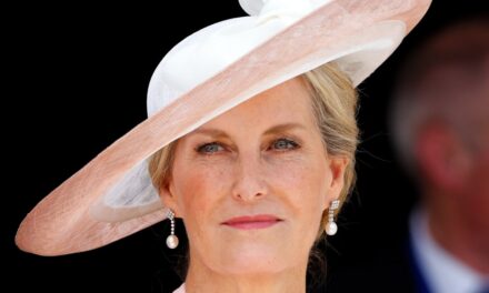 La duchesse Sophie projette «l&rsquo;autorité» dans un pantalon à jambes larges que tout le monde a besoin pour posséder