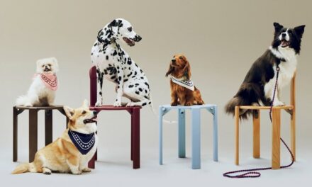 Guide cadeau: cadeaux de luxe pour animaux de compagnie 2025