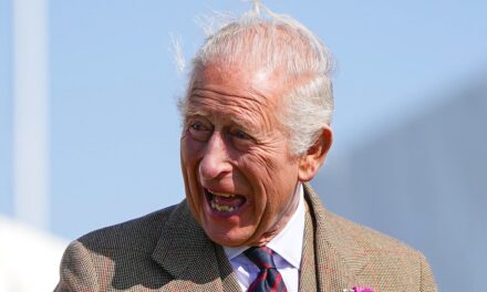 Réaction hilarante de 8 mots du roi Charles au commentaire franc de la personne la plus âgée du monde