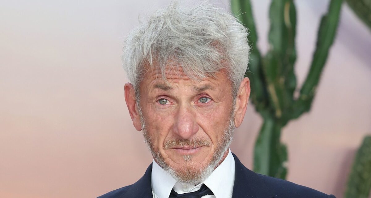 Sean Penn révèle ce qui s&rsquo;est réellement passé lors de l&rsquo;arrestation des années 80 impliquant Madonna et Paparazzi
