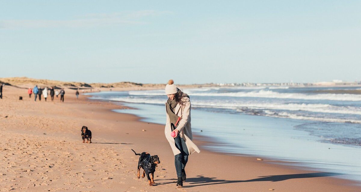 Meilleures villes balnéaires près de Londres: de l’emblématique Tipple iconique de Whitstable à Arcade à gogo à Hastings