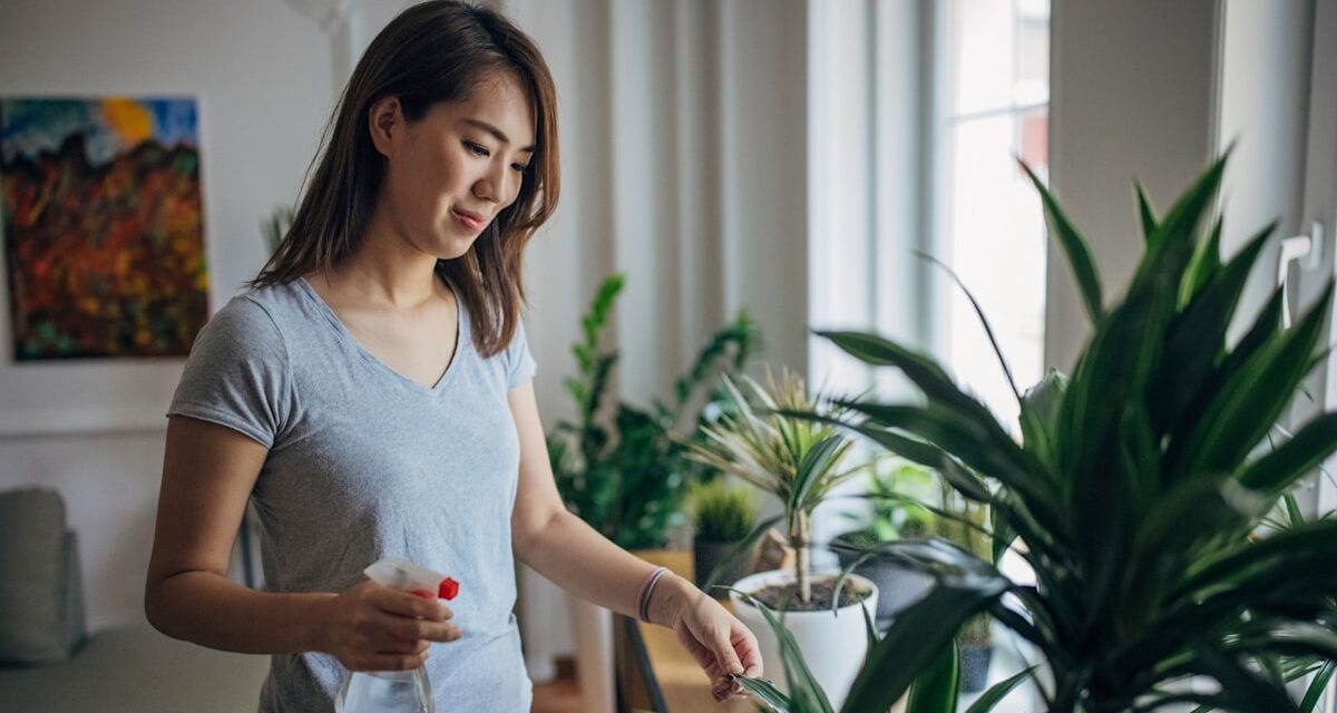 Comment garder vos plantes d&rsquo;intérieur en vie en automne et en hiver – quand ils sont en «phase dormante»