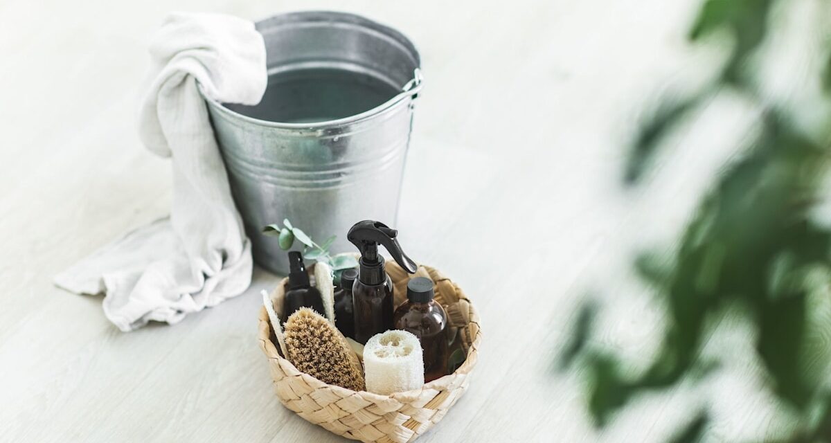 Votre routine de nettoyage quotidienne est-elle efficace? Ce que disent les experts sur les produits naturels, Pet Safe