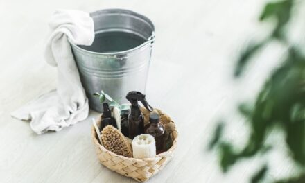 Votre routine de nettoyage quotidienne est-elle efficace? Ce que disent les experts sur les produits naturels, Pet Safe