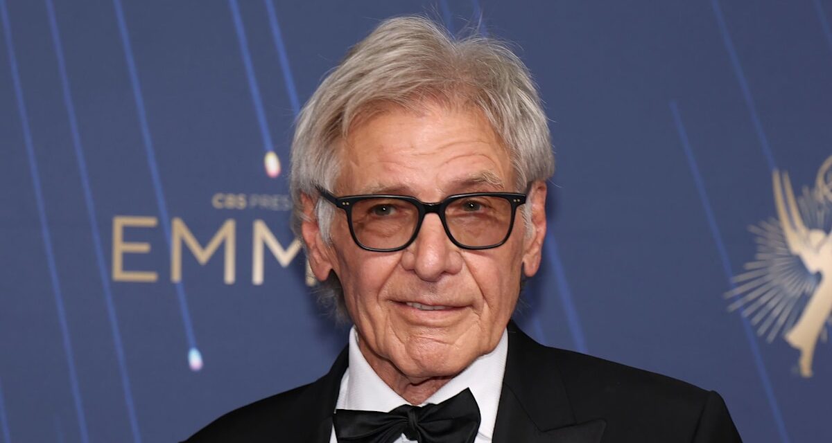 Le petit-fils de Harrison Ford touche un père célèbre dans une photo de famille rare