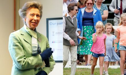 La princesse Anne fait de rares commentaires sur les petits-enfants lors de la sortie de Portsmouth
