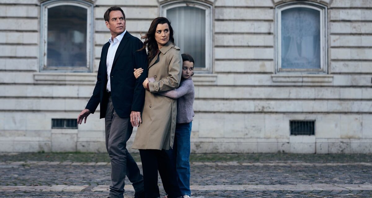 Rencontrez les familles du NCIS: Tony & Ziva Cast