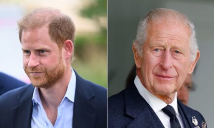 Le prince Harry rencontre le roi Charles pour la première fois en 19 mois au milieu de la famille familiale