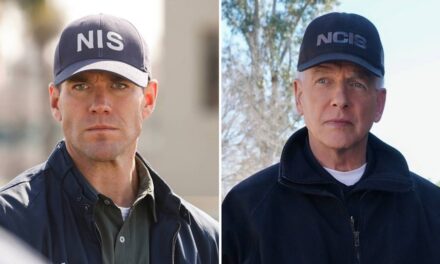 NCIS: Origins ajoute une nouvelle star majeure – que vous reconnaîtrez de Netflix Hit