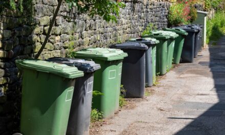Vous pourriez faire face à 1 000 £ pour cette erreur de bac noire honnête