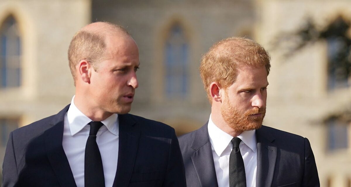 Les funérailles de la duchesse de Kent réuniront-elles le prince William et Harry?