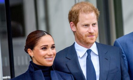 Le prince Harry et Meghan Markle ont fait une apparition inattendue dans un nouveau documentaire Netflix