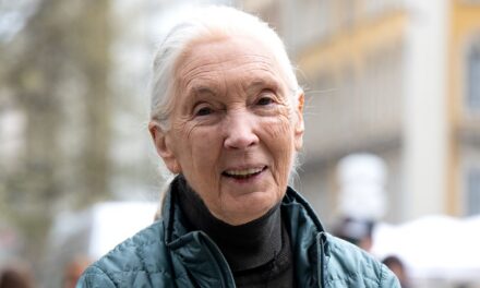 La cause du décès de Jane Goodall confirmée après son décès à l&rsquo;âge de 91 ans