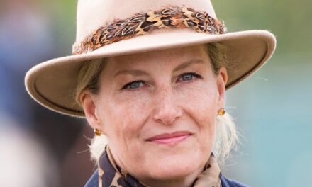 Je suis rédacteur en chef de la mode, et je suis convaincu que la garde-robe automnale de la duchesse Sophie est difficile à battre