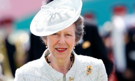 Royal Family Live – Investiture du château de Windsor et sorties de la princesse Anne à Londres