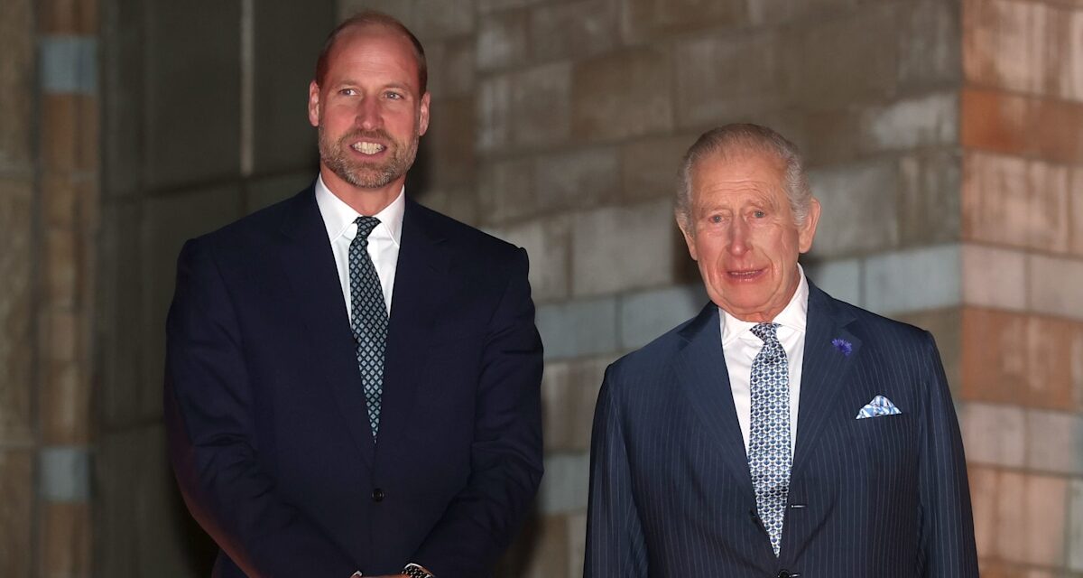 Le roi Charles et le prince William profitent de rares fiançailles communes à Londres – meilleures photos