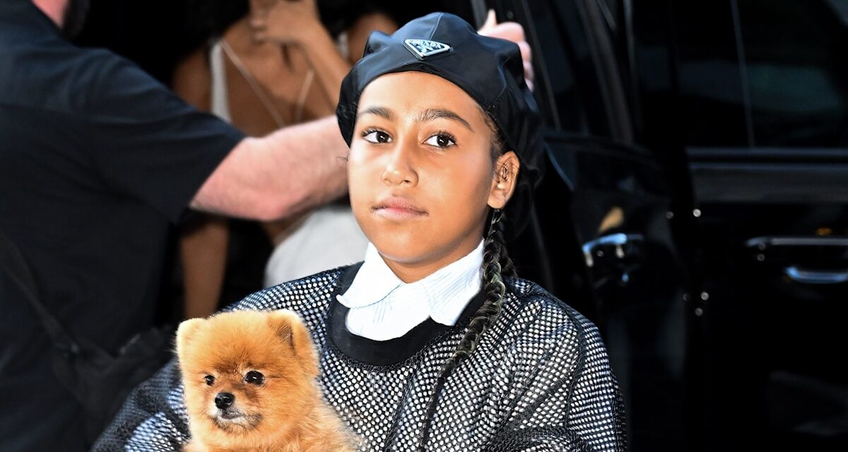 North West canalise une star inattendue dans un incroyable costume d&rsquo;Halloween