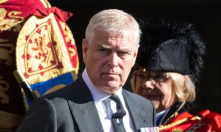 Le prince Andrew « a demandé au garde du corps du Met d&rsquo;enquêter sur Virginia Giuffre » – rapport