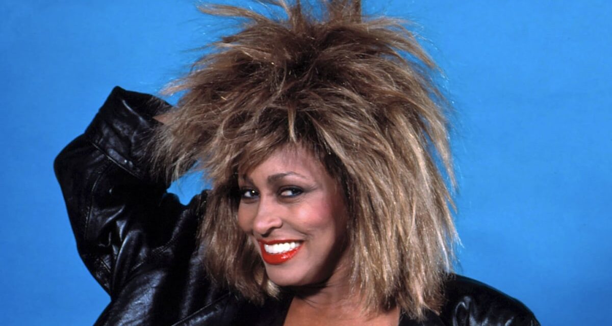 Qui sont les 4 fils de Tina Turner avec les ex Ike Turner et Raymond Hill?