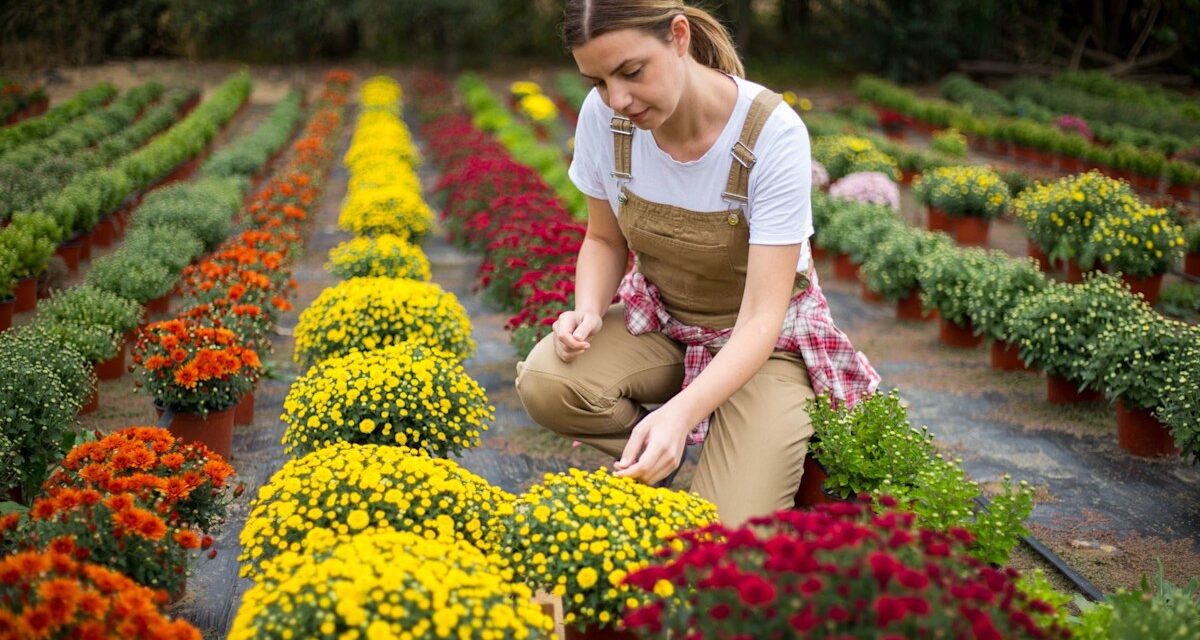 9 fleurs à planter en automne et en hiver – et pourquoi c&rsquo;est maintenant un « moment clé » pour le jardinage
