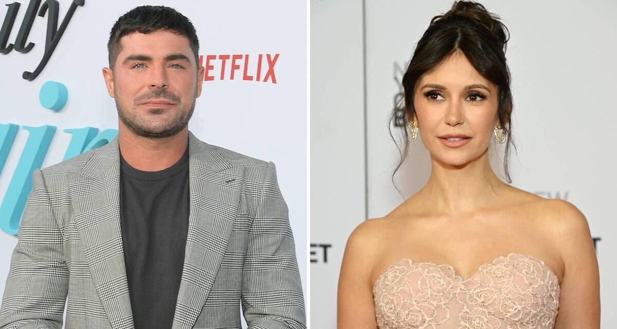 Nina Dobrev brise le silence sur Zac Efron Dating Rumed After Shaun White Split