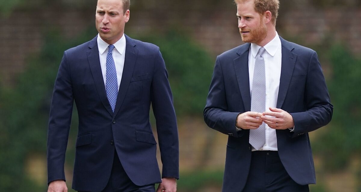 La tante du prince William et du prince Harry blessée après une « très mauvaise chute »