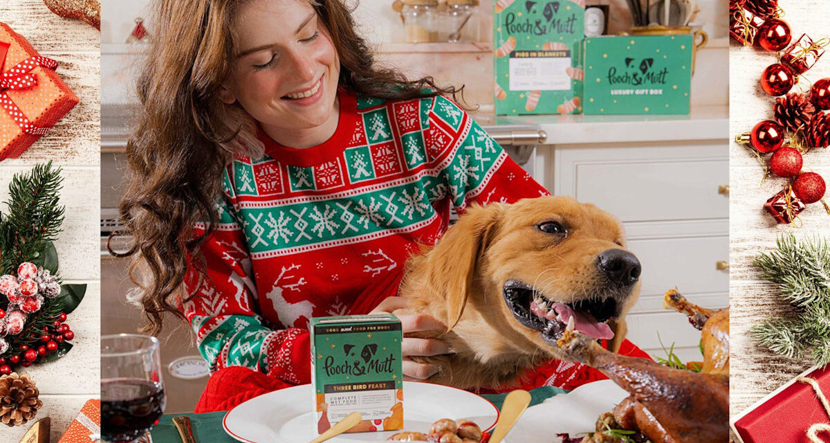 Comment impliquer votre chien dans les festivités de Noël – des plats préparés adaptés aux chiens aux cadeaux
