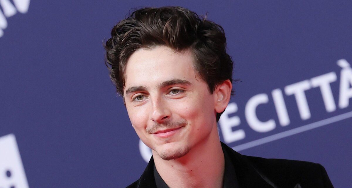 Timothee Chalamet se souvient d&rsquo;avoir pris des risques «radicaux» pour aller de l&rsquo;avant dans sa carrière