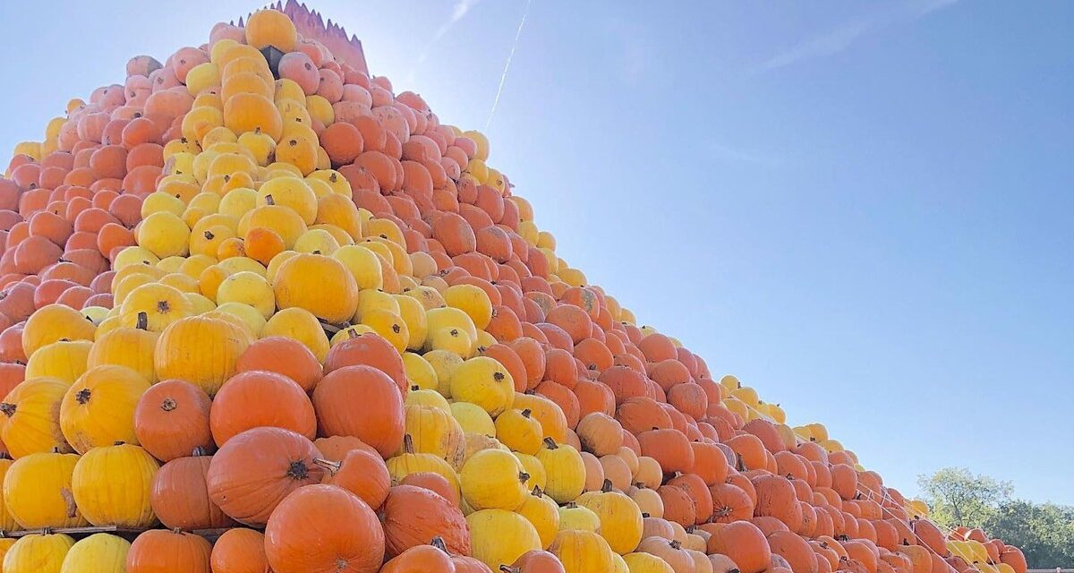 Les meilleures patchs de citrouille dans les 2 heures de Londres que vous devez visiter pour Halloween 2025