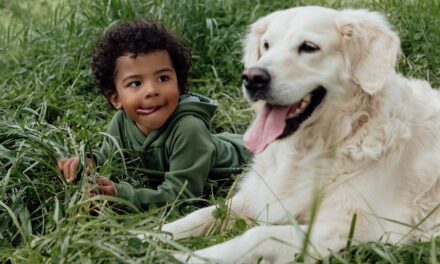 Comment présenter votre chien aux enfants – et les grosses erreurs à éviter