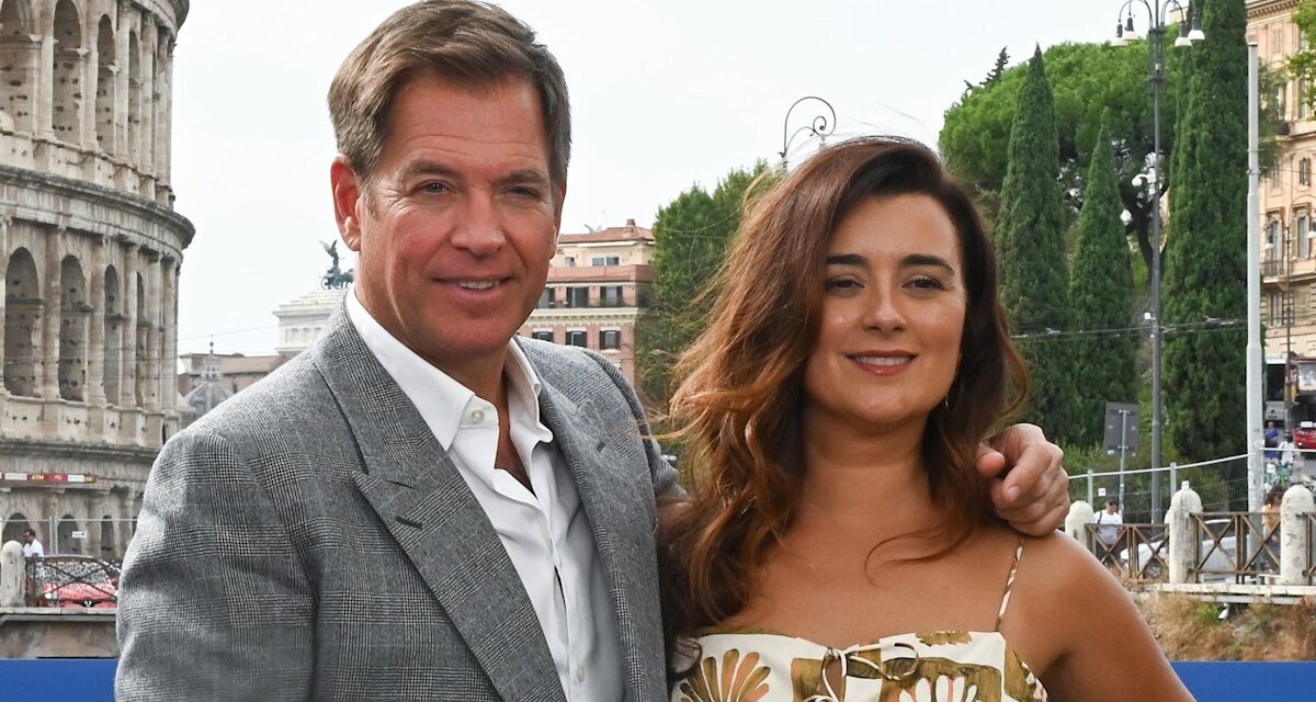 Exclusif : NCIS : l&rsquo;aperçu de Tony et Ziva évoque les problèmes avant le mariage du couple – regardez