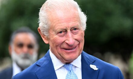 Le roi Charles révèle le « royaume des enfants » dans sa maison de campagne de Noël – avec sa propre tourelle