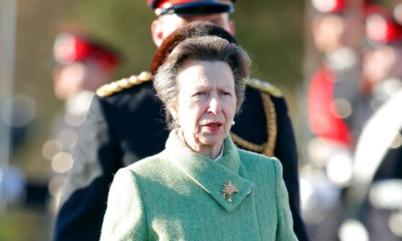 La princesse Anne retourne tranquillement au travail au milieu du drame du prince Andrew
