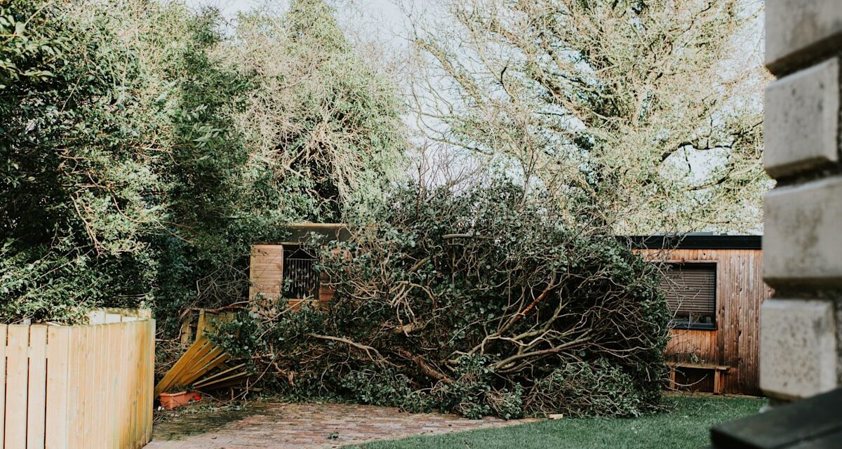 Braces britanniques pour Storm Amy: comment minimiser les dommages à votre maison et à votre jardin