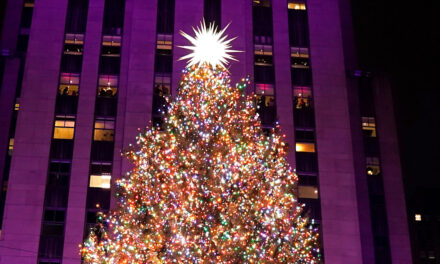 Tout ce que nous savons sur la famille qui a fait don du sapin de Noël du Rockefeller Center cette année