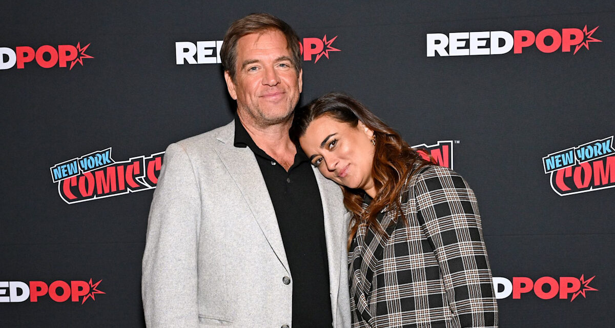 6 moments du panel NCIS NYCC de Michael Weatherly et Cote de Pablo qui prouvent leur alchimie