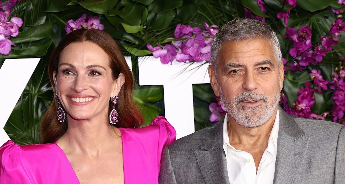 Julia Roberts reviendra-t-elle pour Ocean&rsquo;s 14 ? George Clooney propose une mise à jour