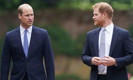 Le timing délicat des grandes annonces du prince William et du prince Harry expliqué