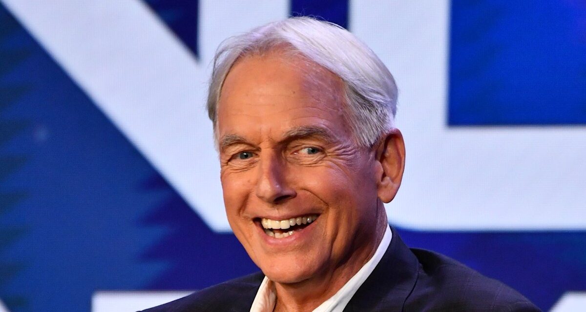 Mark Harmon taquine l&rsquo;avenir de NCIS : Origins après une apparition en tant qu&rsquo;invité