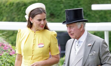 Sophie Winkleman défend la famille royale au milieu d&rsquo;un examen minutieux – « Je compatis pour eux tous »