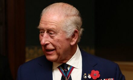 Le roi Charles s&rsquo;apprête à rendre des hommages poignants lors du service du dimanche du Souvenir – meilleures photos